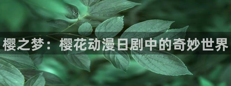 kakaopage韩漫官网：樱之梦：樱花动漫日剧中的奇妙世界