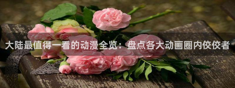 下载里番动漫：大陆最值得一看的动漫全览：盘点各大动画圈内佼佼者