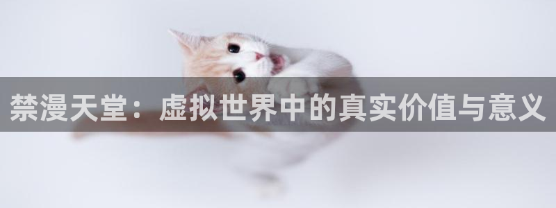 里番动漫下载动漫全免费：禁漫天堂：虚拟世界中的真实价值与意义