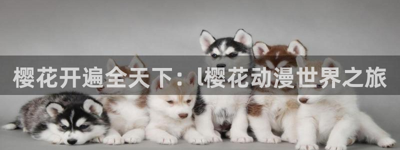 里番动漫下载：樱花开遍全天下：l樱花动漫世界之旅
