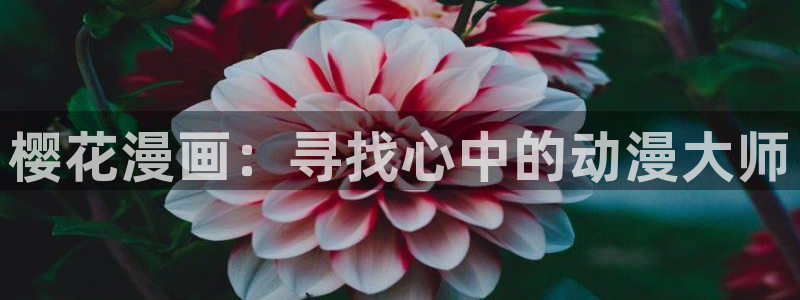 拷贝漫画 copymanager.ory网站