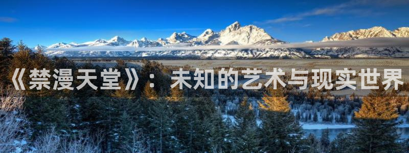 managereader漫画官网入口：《禁漫天堂》：未知的艺术与现实世界