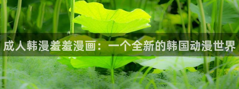 stagenehind韩漫免费观看：成人韩漫羞羞漫画：一个全新的韩国动漫世界