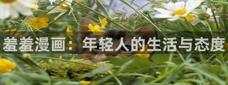 里番动漫专注动漫的门户网站：羞羞漫画：年轻人的生活与态度
