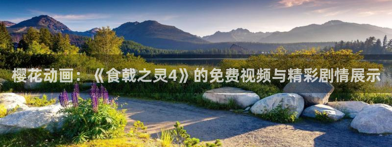 managereader漫画官网入口：樱花动画：《食戟之灵4》的免费视频与精彩剧情展示