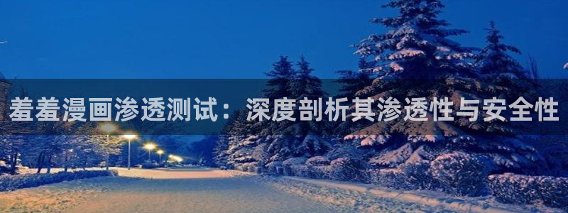 里番动漫官网版入口：羞羞漫画渗透测试：深度剖析其渗透性与安全性
