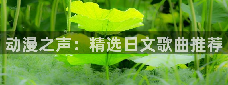 age漫画网：动漫之声：精选日文歌曲推荐