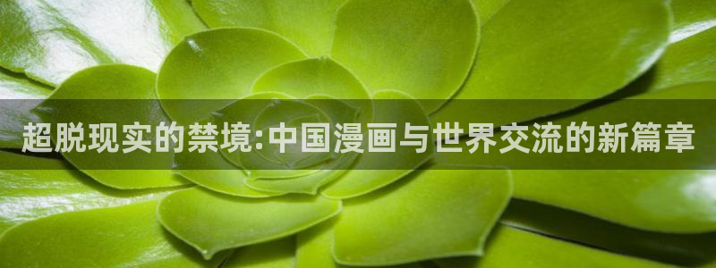 里番动漫官网在线入口：超脱现实的禁境:中国漫画与世界交流的新篇章