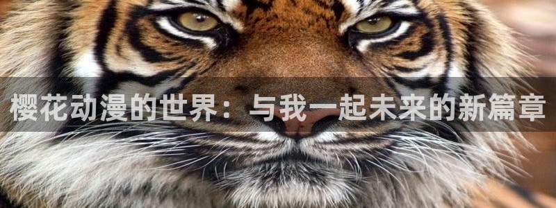 里番动漫下载网：樱花动漫的世界：与我一起未来的新篇章