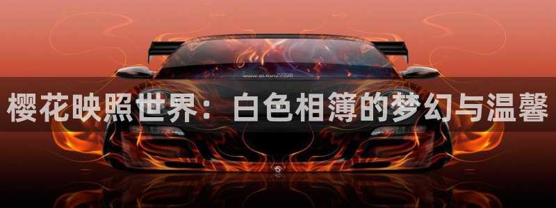 colamanage漫画下载：樱花映照世界：白色相簿的梦幻与温馨