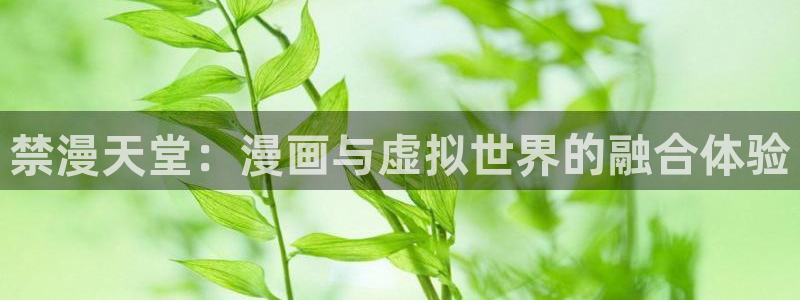 里番动漫专注动漫的门户网站：禁漫天堂：漫画与虚拟世界的融合体验