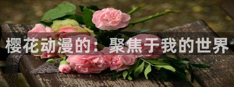 拷贝漫画 copymanager.ory网站：樱花动漫的：聚焦于我的世界