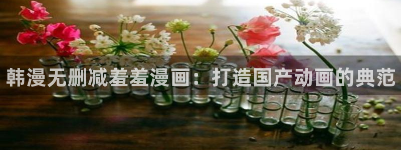 里番动漫官网网址：韩漫无删减羞羞漫画：打造国产动画的典范