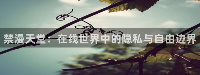 里番动漫网上看：禁漫天堂：在线世界中的隐私与自由边界