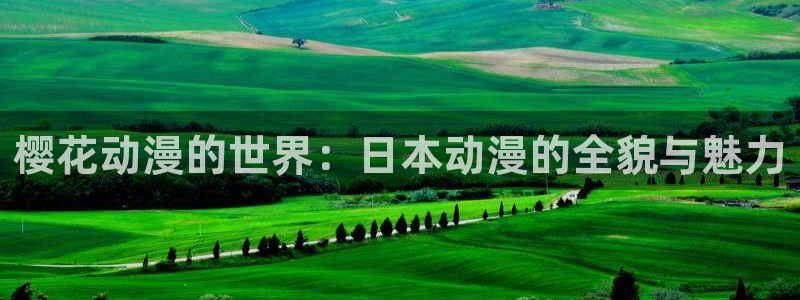 里番动漫下载网：樱花动漫的世界：日本动漫的全貌与魅力