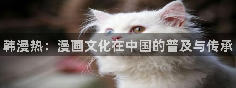 里番动漫官网版入口：韩漫热：漫画文化在中国的普及与传承