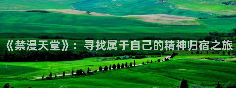 backstage韩漫免费观看：《禁漫天堂》：寻找属于自己的精神归宿之旅